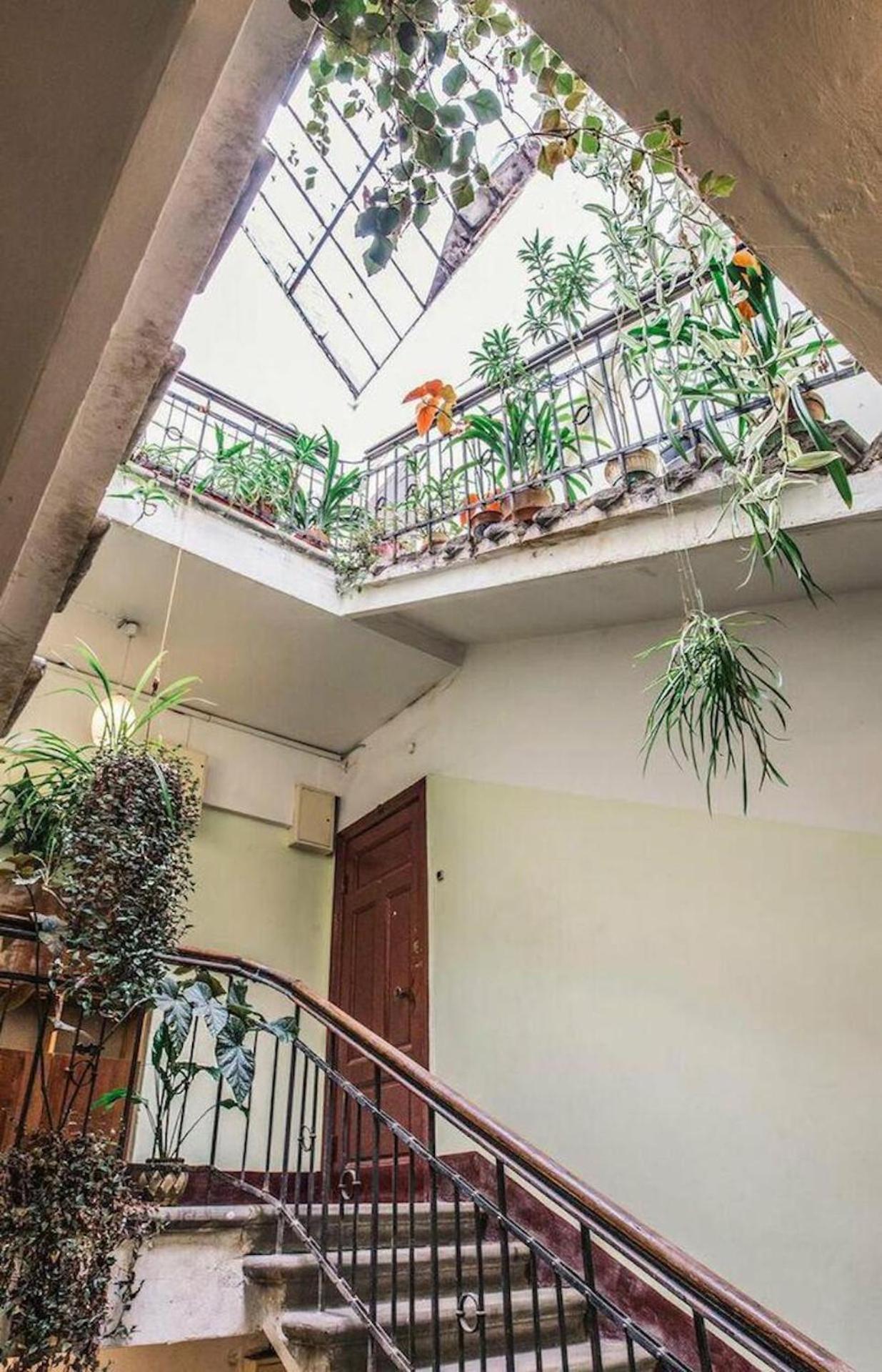 Sunny 1 Bedroom In Centre Of Appartement *